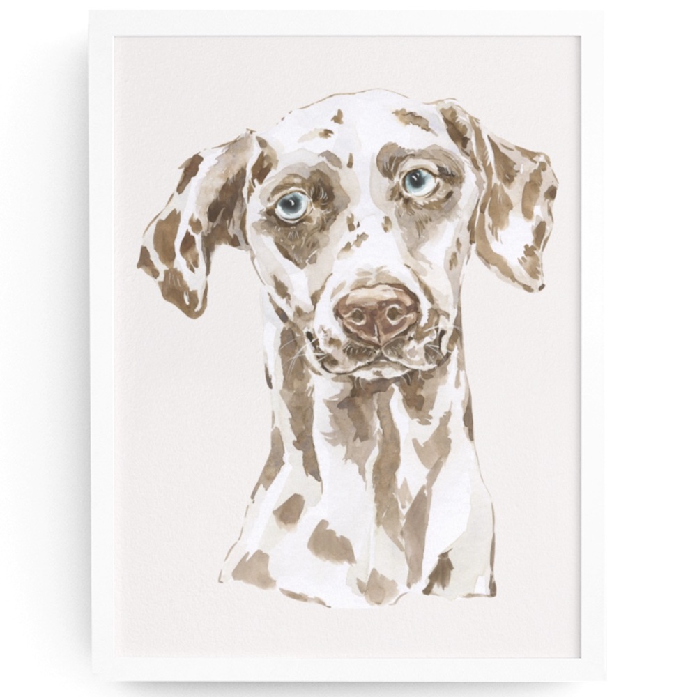 Watercolor Dalmatian Brown Dog Wall Art Illustration Print Poster Card Unframed - Picture 2 of 7
